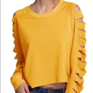Shampoo Colorblock Long Sleeve Crop Top